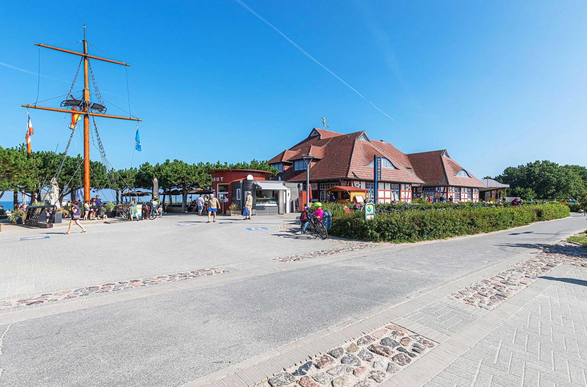 Krosse Krabbe An Der Seebruecke Zingst