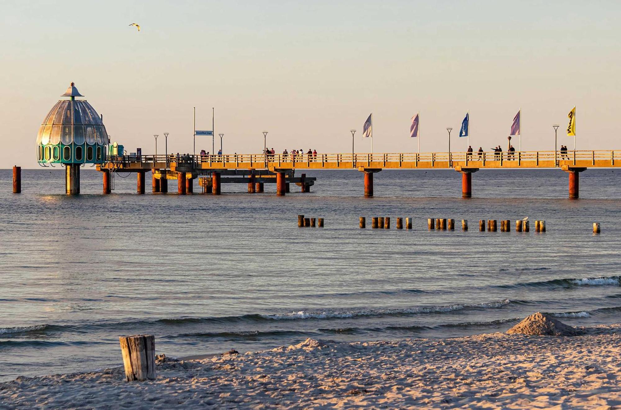 Krosse Krabbe An Der Seebruecke * Zingst